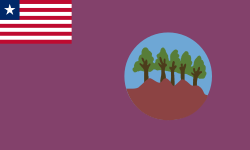 Bomi flag