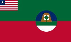 Margibi flag